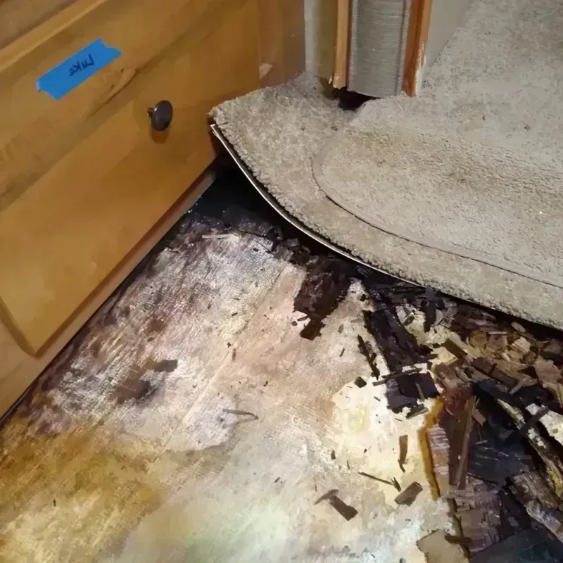 Wood Floor Water Damage in Auburn, AL